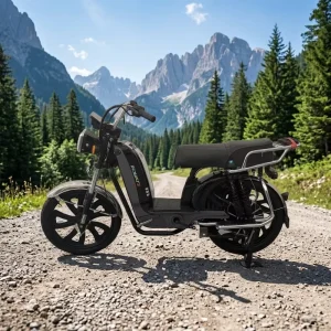 48V 20Ah 1000W Electric Dirt Bike Off Road Motorcycle with Brushless Motor Lithium Battery Steel Frame