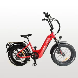 48V 20Ah Foldable 20-Inch Fat-Tire Step-Through Stylish Hybrid Electric Women’s Bicycle