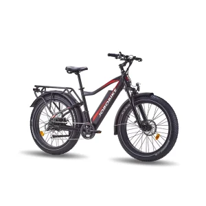48V 250W 14Ah Battery Electric Bicycle, Electric Fat-Tire Bicycle, Electric Hybrid Bicycle