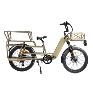 48V 250W 500W 750W Long Tail Electric Cargo Bike with Dual Battery for Two Kids Velo Electrique