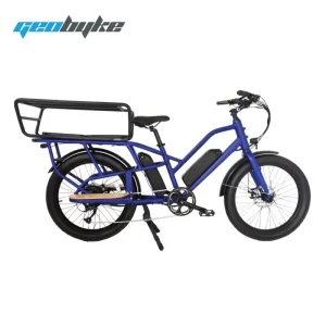 48V 250W Cargo Electric Bike for Adults 7 Speed Aluminum Alloy Frame 2 Wheel