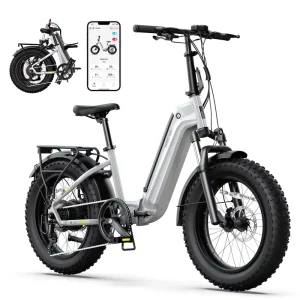 48V 25km/h Foldable Electric Bike Fatbike Electric Folding Bike with 15Ah Battery 250W Light Steel Frame Electric Cycle