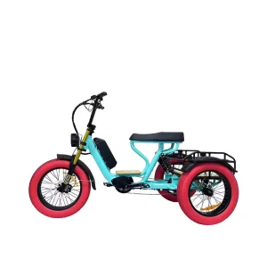 48V 3 Wheel Cargo Electric Trike Full Suspension 20″ Fat Mountain Tire Long Range Heavy Carrying Capacity Otm Electric Trike