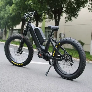 48V 30AH Electric Bike E Bike Electric Motorcycle Bicycle with 26inch Fat Tire