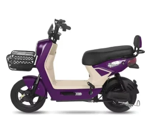 48V 350W Electric City Bike for Adults 3-Speed 2-Wheel Electric Motor Bike