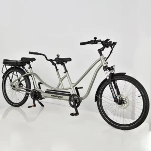 Family Electric Hybrid City Bicycle, 48V 500W Motor, 15Ah Integrated Battery, Aluminum Frame, 25 km/h Maximum Speed