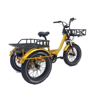 48V 500W 20*4.0 Center Drive Electric Cargo Bike 3 Wheel Lithium Battery Aluminum Alloy Frame 7-Speed Rear Carrier