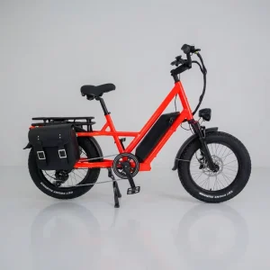 48V 500W 20 Inch Fat Tire Food Delivery Electric Cargo Bike 200kg Load Capacity Last Mile Delivery E-bike