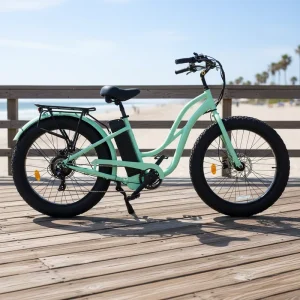 Cruiser Electric Bicycle, Rear Hub Motor, Pedal Assist, Adult Model, 48V 500W/750W, Aluminum Alloy Frame, Fat-Tire Electric Bicycle
