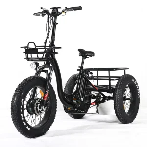 48V 500W 750W Fat Tire Motor Tricycle Electric Cargo Bike