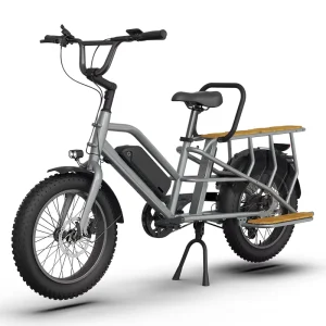 48V 500W Two Wheels E-Cargo Bakfiets Electric Fat Tire 2 Person Cargo Bike Long Tail Cargo Bike