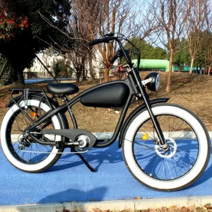 High-Power 48V Battery 750W Cruiser Electric Bicycle, Classic Retro E-Bike