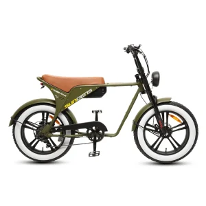 Long-Range Electric Hybrid Bicycle 48V 750W 20-Inch Fat Tires 7-Speed Steel Frame Motorcycle-Style Electric Bicycle