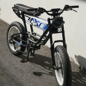 48V 750W 20 Inch Electric Mountain Bike Fat Tire Adventure Rear Hub Brushless Aluminum Alloy Frame Dual Suspension 7-Speed