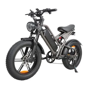 48V 750W Aluminum Alloy Lithium Battery Fat Tire Electric Bike Retro Off-Road Urban City for Adults OEM