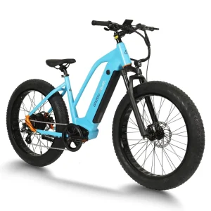 48V 750W Electric Mountain Bike Full Suspension for Women