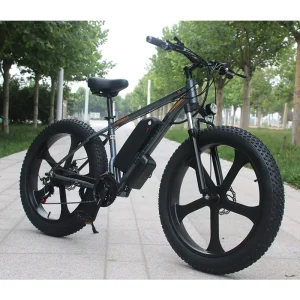 48V 750W Fat Tire Off Road Electric Bike Integrated Wheels & Snow Anti Slip Tires Aluminum Frame Adventure E Bike