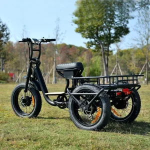 48V 750W Three-Wheel Drive Motor 20″ X 4.0″ Fat Mountain Tire Camping Travel Electric Trike Cargo Bike Lithium Battery