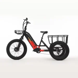 48V 750W Three Wheel Ebike Electric Tricycles 3 Wheel Folding Cargo Trikes Fat Tire Electric Bikes Three Wheels for Adults