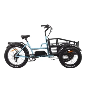 48V 750w Three-Wheel Electric Cargo Bike 3 Wheel E Cycle with Rear Hub Motor and Lithium Battery