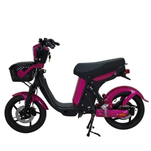 48V Carbon Steel Electric Two Wheeler E Bike Lead Acid Battery Digital 60 km