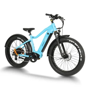 48V Double Batteries 750W Fat Tire Electric Bicycle Mountain Ebike