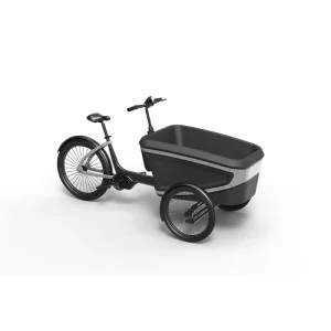 48V Ebike Cargo Electric Bike 3 Wheels Cargo Bike Kids Front Box Pedal Cargo Bike E-cargo for Family