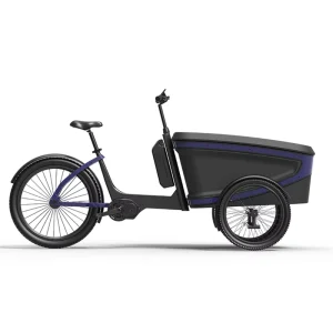 48V Electric Cargo Bike 3 Wheels EU Standard Frame for Family Carry Kids