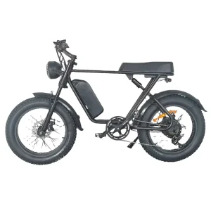 48V Hydraulic Disc Brake Adult Fat Tire Electric Hybrid Bicycle 750W Motor 20Ah 960Wh Battery Shimano Aluminum Alloy
