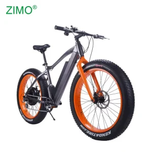 48V Off Road Big Tire Electric Fat Bike