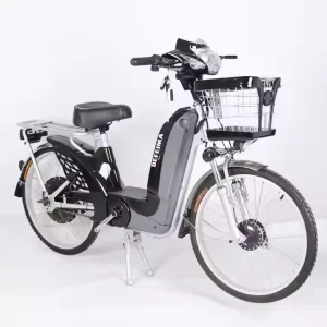 48V Smart Electric City Bike with 24 Inch Frame 500W Brushless Motor Power Hidden Battery and Fat Tire Option
