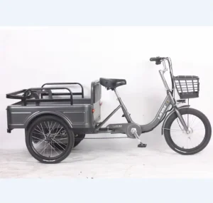 48V12/20Ah Electric Tricycles 3 Wheel Electric Passenger Cargo Bike for Adults