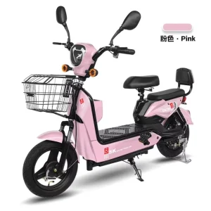 48V12Ah Electric Bike Electrical Bicycle 2 Wheel Electric Cargo Bike