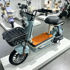 48v Electric Bike for Adults Streetbike Scooter Electric Motorcycle