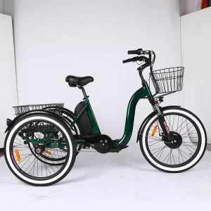 48v Electric Cargo Bike 20 Inch Electric Trike Tricycle Electric Bike Electric Cargo Delivery Bike