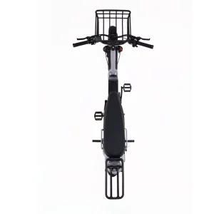 48v Fatboys Harlem Icons Long Seat 20 Fat Tire Snow Beach 500W 750W Aces Flightrisk Cruzr E Bike Bicycle