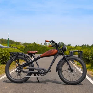 US Warehouse Hybrid Electric Bicycle, Retro-Style Electric Bike, 48V Lithium Battery, Road/City, 48V Ebike, Mountain Fat Tire