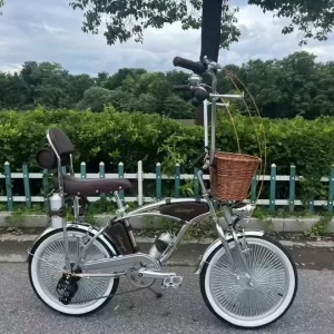 4OEM 20 Inch Lowrider 7 Speed Bike Cruiser Bicycle Retro Beach Bike