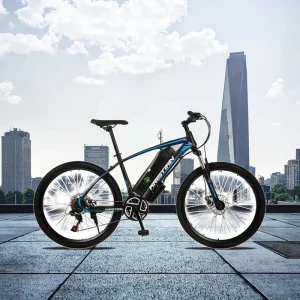 500W 36V 20Ah Dual-Battery Fat-Tire Hub-Motor Electric Mountain Hybrid City Bicycle