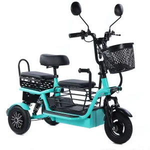 500W 48V Cargo E Bike 10 Inch 3 Wheel Electric Tricycle