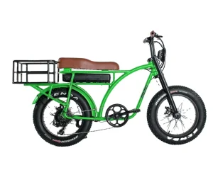 500W 750W Fat Tire Cargo Electric Bike