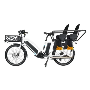 500W Adult Electric Cargo Bike 48V High Load Capacity Lithium Battery Ebike Bicycle