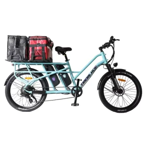500W Electric Bike Fat Tire Cargo Food Delivery Electric Bicycle