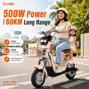 500W Electric City Bike 48V 20Ah Adult Commuter E bike Dual Drum Brake Hydraulic Suspension Customizable