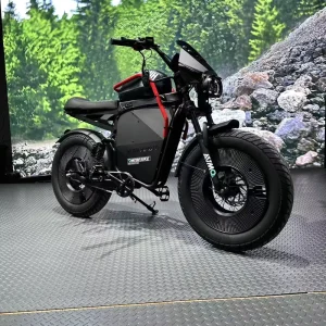 500W Electric Dirt Bike Fat Tire Moto Electrica Ebike E Bike Adult Off Road Electric Mountain Bike Electric Motorcycle