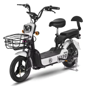 500W Powerful Motor 48V 20Ah Two Seater Electric Bicycle Long Range E-Bike for Adults