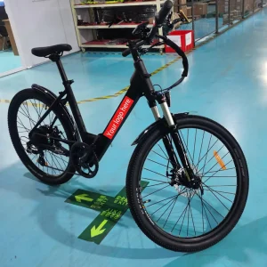 500w Central Motor Small Aluminum Alloy 7 Speeds Lithium Battery Power Supply Women’s City Bicycle E Bike for Adults