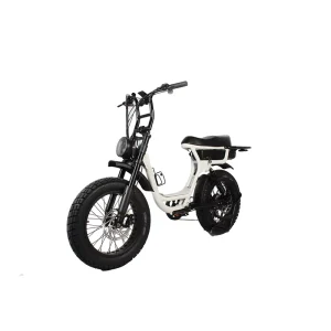 52V Fatboys Scrambler Icons Long Seat Beach Cruiser 20 Fat Tire 500W 750W 1000W E Bike