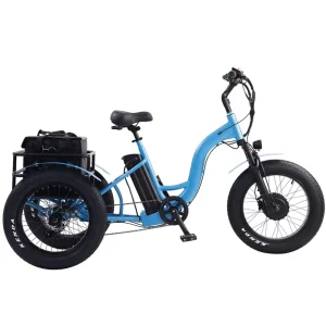 52v 1000w Heavy Electric Tricycles 3 Wheel Electric Cargo Bike Family Central Motor