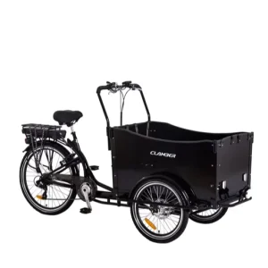 6 Speed Adult Cargo Bike Family Bike 3 Wheel Cargo Bike Model UB-9019